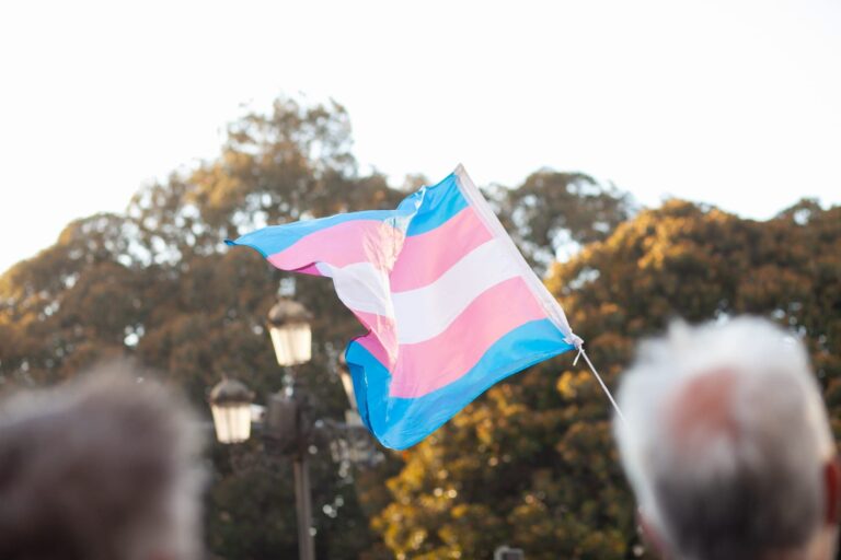 Flag associated with gender identity advocacy
