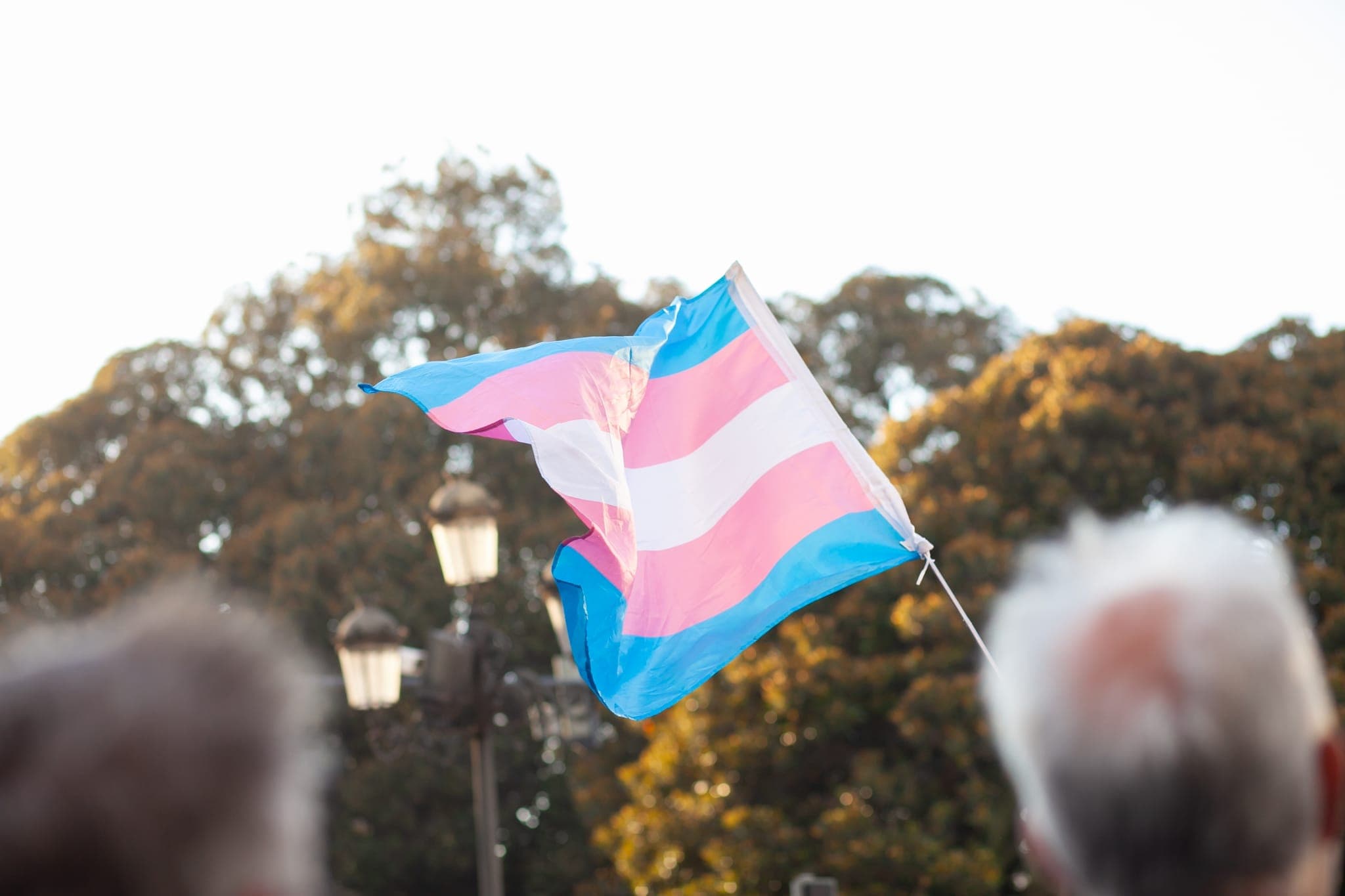Flag associated with gender identity advocacy