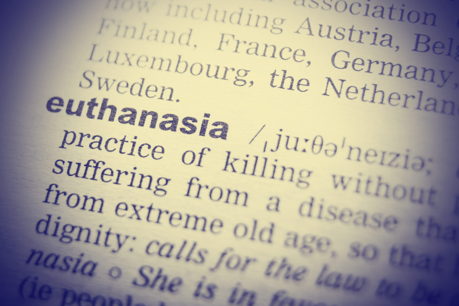 Dictionary definition of euthanasia