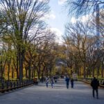 People walking in Central Park in New York City