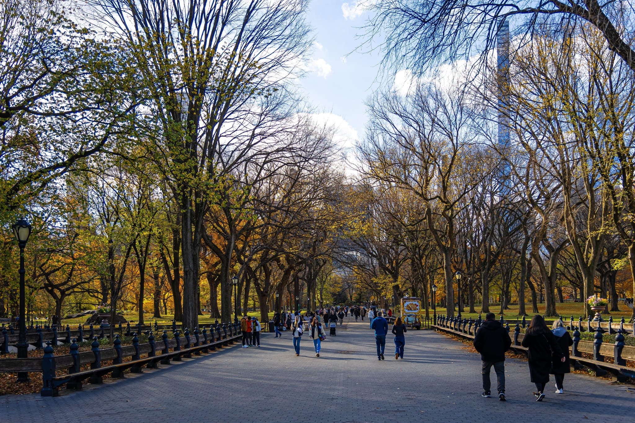 People walking in Central Park in New York City